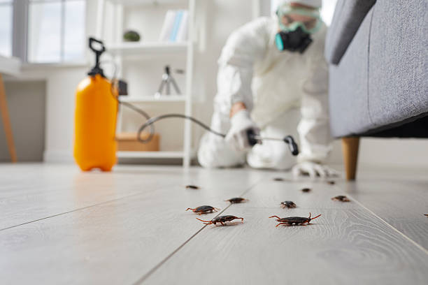 Commercial Kitchen Cockroach Control in Carteret